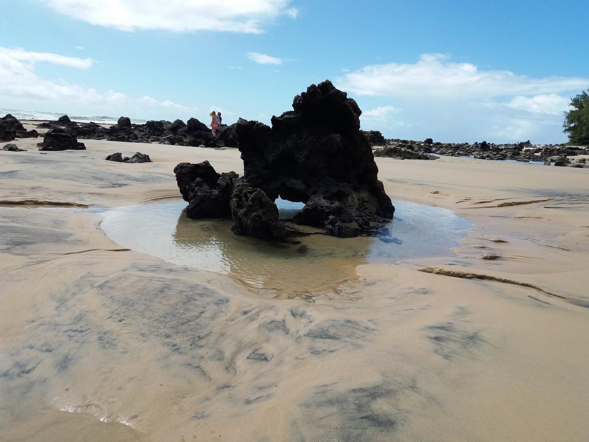 הוילה Praia de Pipa Casa Das 7 Janelas מראה חיצוני תמונה